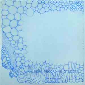 Elizabeth Lippitt - Songs From The Heart