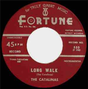 The Catalinas  - Long Walk / Destruction