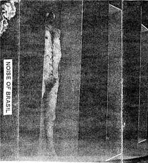 Various - Noise Of Brasil