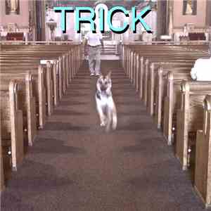 Alex G  - Trick