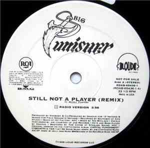 Big Punisher - Still Not A Player