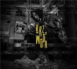 BRZ  - Woda