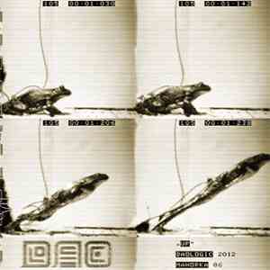 Daologic - UP