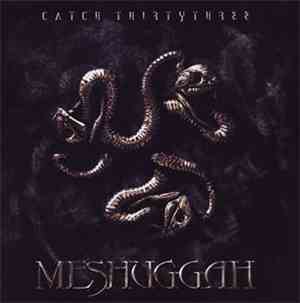 Meshuggah - Catch Thirtythree