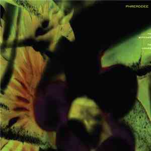 Phreaddee - No Windows No Doors
