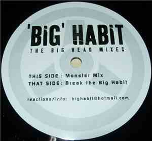 Big Beat - The Big Head Mixes