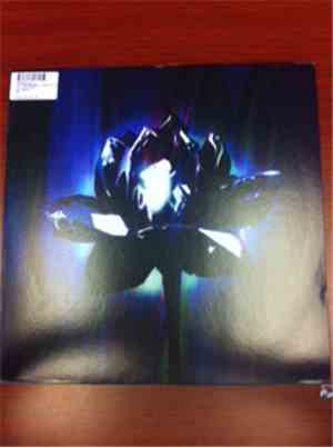 Martina Topley-Bird Feat. Mark Lanegan & Warpaint - Crystalised
