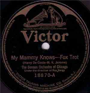 The Benson Orchestra Of Chicago - My Mammy Knows / Angel Child