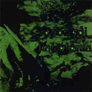 Vonbrigði - Kakófónia