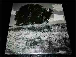 Ancestors  - Invisible White