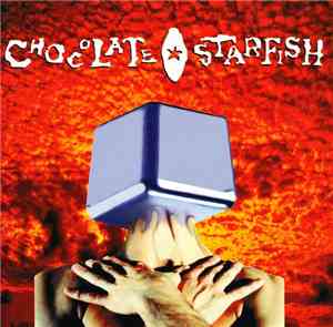 Chocolate Starfish - Box