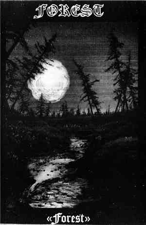 Forest  - Forest