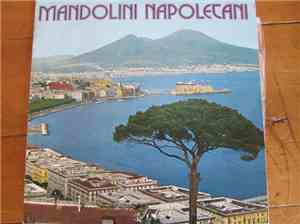 Quartetto A. Plettro - Mandolini Napoletani