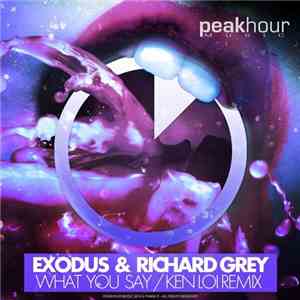 Exodus  & Richard Grey - What You Say / Ken Loi Remix