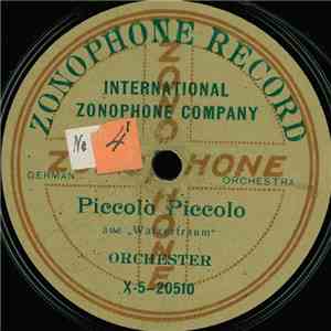 Unknown Artist - Piccolo Piccolo / Einzugsmarsch