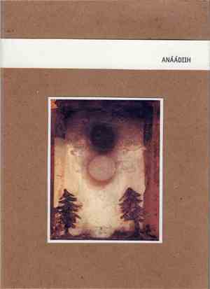 Mathieu Ruhlmann + Banks Bailey - Anáádiih