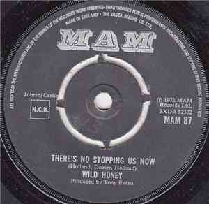 Wild Honey - There's No Stopping Us Now