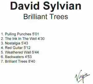 David Sylvian - Brilliant Trees