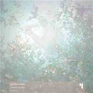 Gordon Tebo - Patina Turner