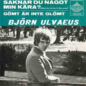 Björn Ulvaeus - Saknar Du Något Min Kära?