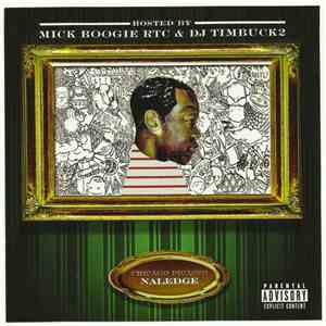 Naledge - Chicago Picasso