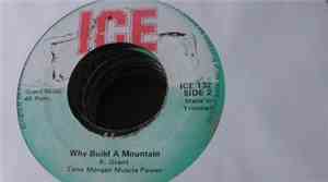 Tony Morgan Muscle Power - Black Skin Blue Eyed Boys / Why Build A Mountain