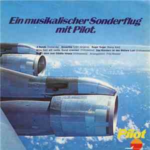 Unknown Artist - Ein Musikalischer Sonderflug Mit Pilot.