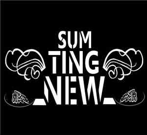 Various - Sumting New On Da Deck Vol 1