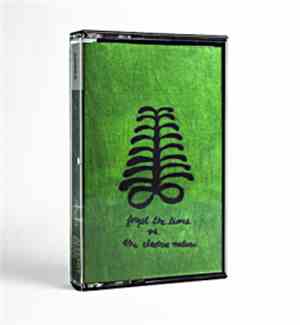 Forget The Times, The Electric Nature - Forget the Times vs. The Electric N ...
