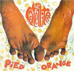 Les Satellites - Pied Orange