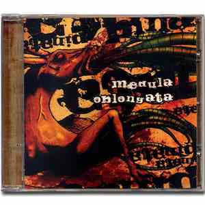 Medula Oblongata - Piñata