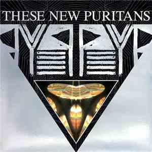 These New Puritans - Beat Pyramid