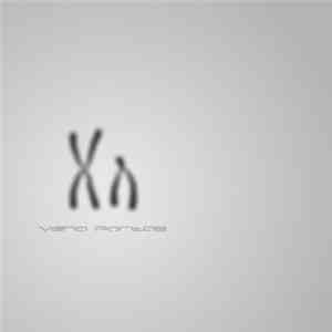 Vena Portae - XY