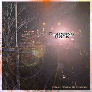 Charming Timur - A Brief Moment Of Existence
