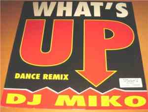 D.J. Miko - What's Up