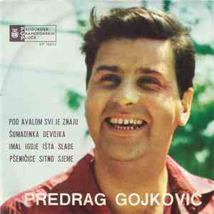 Predrag Gojković - Pod Avalom Svi Je Znaju