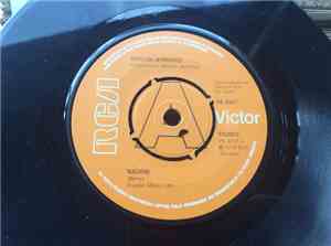Waylon Jennings - Nadine