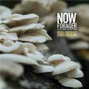 Chris Brokaw - Now, Forager (Original Motion Picture Soundtrack)