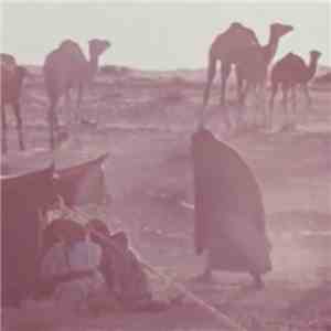 Broken Light  - Endless Desert
