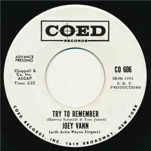 Joey Vann - Try To Remember