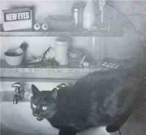 New Eyes - Black Cat's Eyes