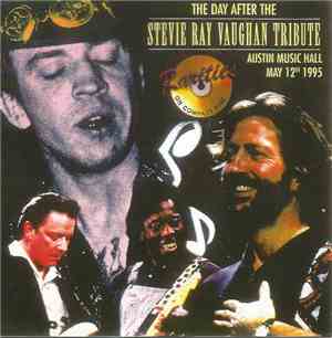Various - The Day After The Stevie Ray Vaughan Tribute