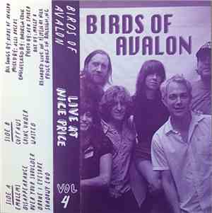 Birds Of Avalon - Live At Nice Price