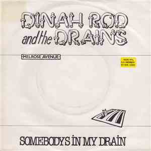 Dinah Rodd & The Drains - Somebodys In My Drain