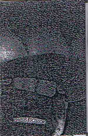 Emesis  / Scissor  - Split