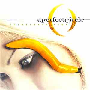 A Perfect Circle - Thirteenth Step