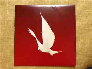 Floor  - Dove