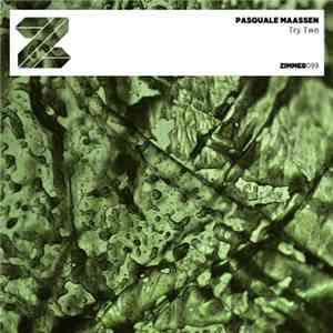 Pasquale Maassen - Try Two