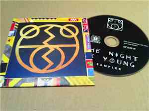 The 2 Bears - The Night Is Young (Sampler)
