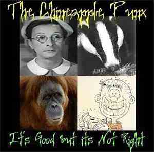 The Chineapple Punx - It's Good But Its Not Right